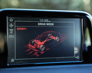 Kia Stinger blue details  (16)